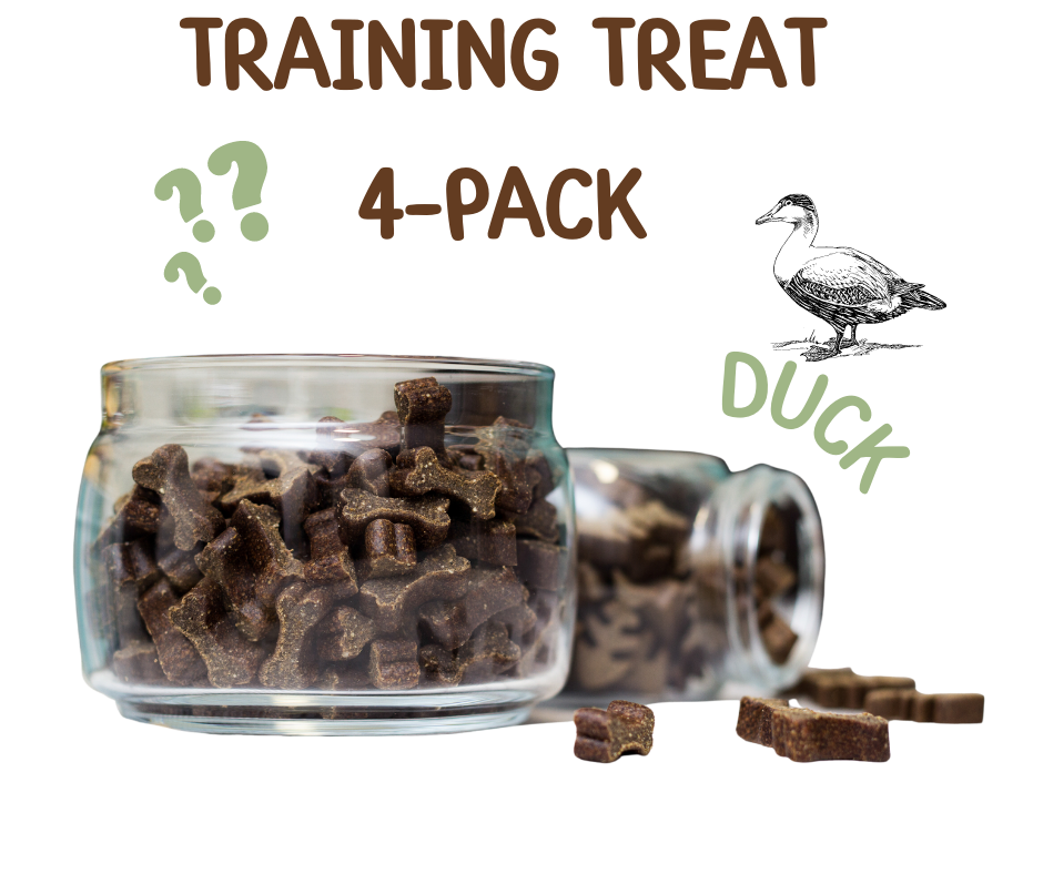 Training treat 4 pack - Duck