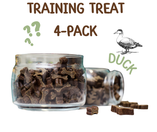Training treat 4 pack - Duck